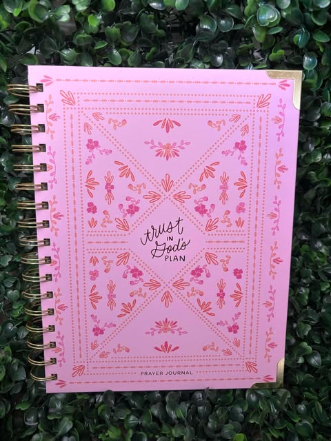 Mary Square - Trust in God's Plan - Prayer Journal